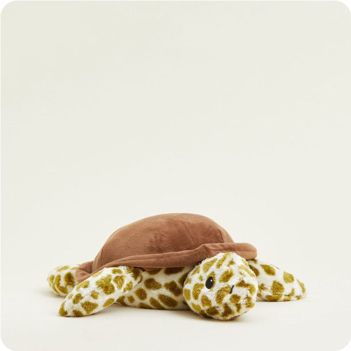 Turtle - Image 1