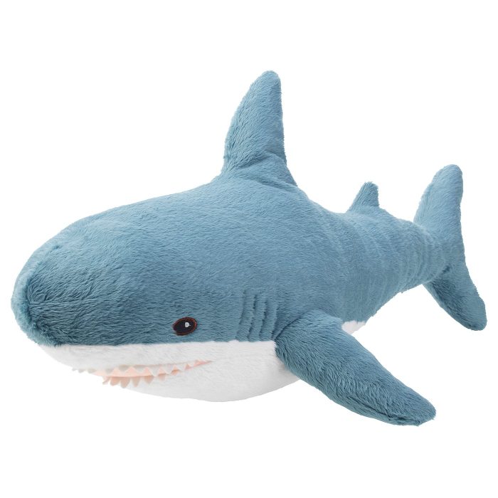 shark - Image 1