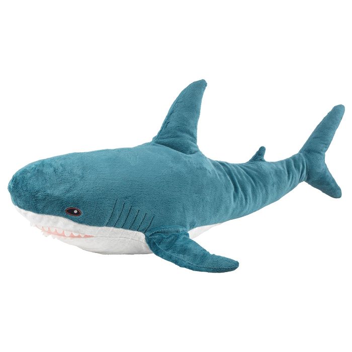 shark - Image 1