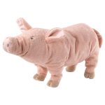 pig
