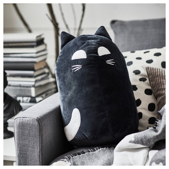 cat - Image 2