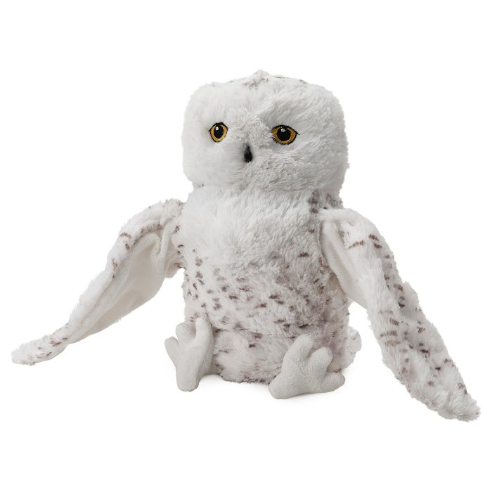 owl - Image 1