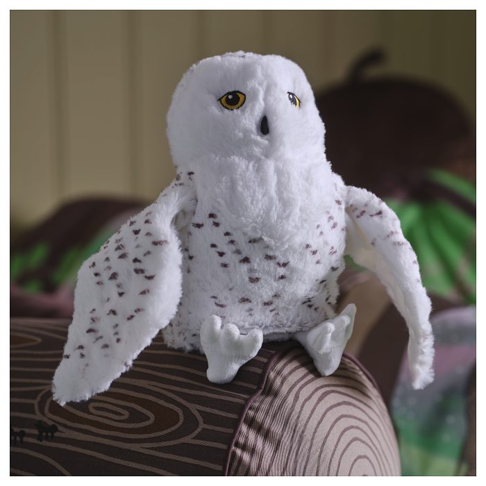 owl - Image 2