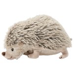 baby hedgehog