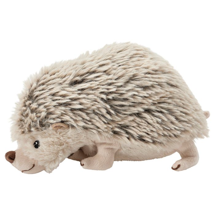 baby hedgehog - Image 1
